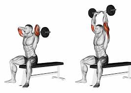 Pin On Gym Work Out
