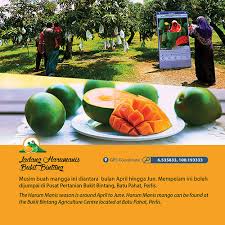 Insyaallah anda berpuas hati dengan bayaran serendah rm180 semalam.(harga promosi) jika lebih dari satu malam harga diskaun. Homestay Murah Kangar Perlis Rm150 Semalam