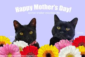 Check spelling or type a new query. Animal Shelter Volunteer Life Happy Mother S Day Kenny S Selfies