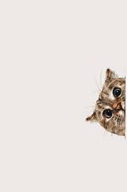 Hey Cat Seni Kucing Binatang Hewan
