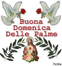 Buona domenica delle palme 2016 da alessandro d. Buona Domenica Delle Palme Picmix