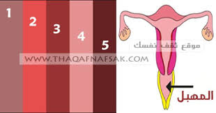 أسباب وعلاج لون المهبل البني الغامق Ego Beauty Lat