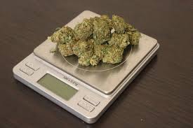 A zip of weed is an ounce of weed, or roughly 28 grams. What Is A Zip Of Weed Leafbuyer
