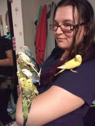 backyard chicken flock photos