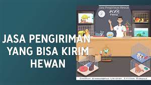 Pastikan anda memilih jasa pengiriman yang tepat dan terpercaya, ki8 expres merupakan salah satu. Jasa Pengiriman Yang Bisa Kirim Hewan Teknosid