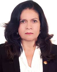 Directorio de Recursos Humanos afines a la CTI