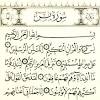Aplikasi ini adalah aplikasi murottal surat yasin dan terjemahan dalam bahasa indonesia per ayat. Https Encrypted Tbn0 Gstatic Com Images Q Tbn And9gcty38s Bexv3piq4lxgpw524dlor Um4ijzl1uwld9r Ucqobk5 Usqp Cau