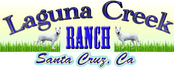 Akc German Shepherd Puppies White Laguna Creek Ranch White German Shepherd Puppies California