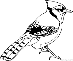 Blue jay coloring pages are a fun way for kids of all ages to develop creativity, focus, motor skills and color recognition. Simple Blue Jay Coloring Page Coloringall