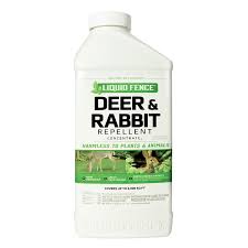If you want the hottest information right now, check out our homepages where we put all our newest articles. The Best Deer Repellent May 2021