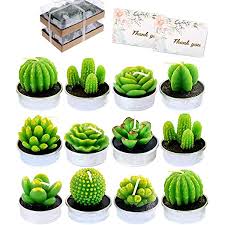 Además de cumpleaños, también puede servir para aniversarios, bodas, bautizos, comuniones… y todo tipo de eventos que tengas entre mano. Amazon Com Juego De 12 Velas Decorativas De Cactus Suculentas Sin Humo Plantas Suculentas Sin Perfume Con 2 Tarjetas De Agradecimiento Perfecto Para Decoracion Del Hogar Fiestas Baby Showers Casas Calentamiento De Bodas