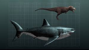T Rex And Megalodon Kopekbaliklari Tarih Oncesi Tarih