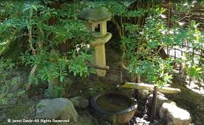 Pigeons like it too so i thought a shishi odoshi (japanese for scaredeer) could be a great solution to keep them away. 53 Shishi Odoshi Deer Scarer Fountain Japanese Garden Portland Janet Davis Explores Colour