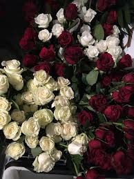 Get paid for your art. Anika Arts Flowers Photos Facebook