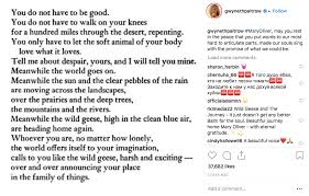Words That Have Saved Lives The Wild And Precious Life Of Mary Oliver Image Ie