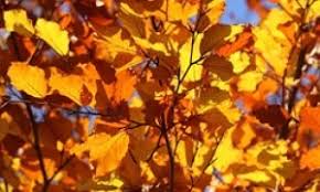 September und endet am 30. Wann Ist Winteranfang 2020