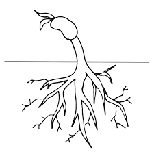 If he can easily cope, offer him something more complicated. Coloring Page Coloring Page Pages For Kid Children Plant Tree Picture Inspirations Kids Spring Springtime