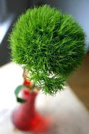 Pin On Flowers From A Z