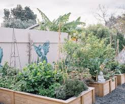 Are you considering growing a garden, perhaps for the first time? The Best Vegetables To Plant In Your Garden This May