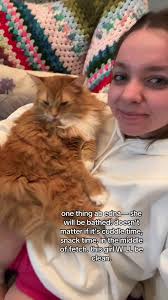 caitlin bennett (@caitlincrbennett)’s videos with original sound