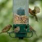 Bird Seed Sale Fundraiser event image