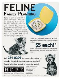 Feline Family Planing Spay Neuter Ad Savethemall Spay Neuterediscuter Neuter Feline Spay