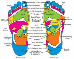 Pressure Points In The Foot Foot Reflexology Reflexology