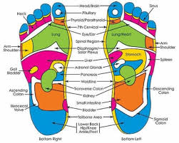 pressure points in the foot foot reflexology reflexology