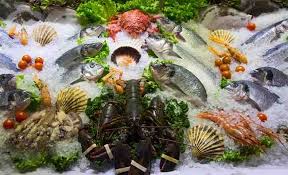 Oleh karenanya, kuda laut berperan sebagai suplai fe yang menjadi salah satu komponen utama darah. Kandungan Gizi Dan Manfaat Makanan Laut Untuk Kesehatan Alodokter