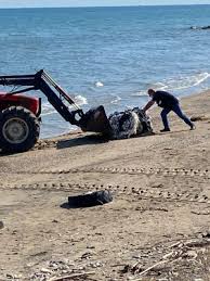 Barletta, i̇talya'daki en iyi kalacak yerler için fırsatları bulun ve rezerve edin! Rifiuti Sulla Spiaggia A Barletta Intervento Di Rimozione Con Bar S A