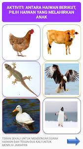 Check spelling or type a new query. Know Your Animals For Android Apk Download