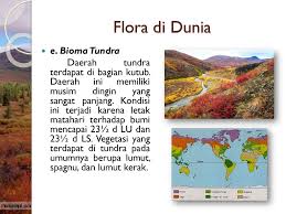Berikut ini penjelasan mengenai iklim bioma tundra yakni sebagai berikut: Kelompok 4 Oleh Aida Helmina Z Bramantiar R Ernika Kurniasari Ppt Download