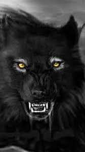Black wolf over 1080 x 1080 / to get rid of google splash. Wallpapers Mobile Black Wolf Wolf Wallpapers Pro