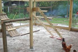 Climb up on top, or. Keep Your Backyard Chickens Healthy By Building Them A Jungle Gym Your Projects Obn