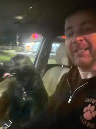 My best friends Boxer dog has been missing for 3 days over by the Bees  Ferry dump. Her name is Rosie. She's wearing an orange training collar and  a purple harness with