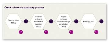 disability loop ndis review and appeals flow chart