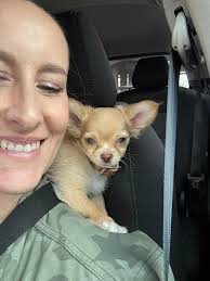 Can anyone recommend the best comb/brush for shih Tzu hair. I take her to  the groomer every 2 months but in between she always beefs a bath.