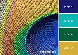 There's a new blue in town. Phantom Blue Indigo Navy Color Meaning And Design Tips Shutterstock