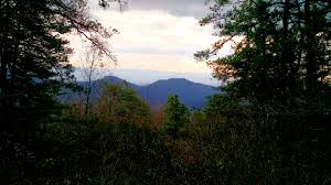 Malcolm in the Middle - Wikiquote