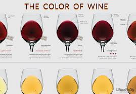 the wine color chart wine folly wine wine infographic