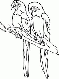 Disegni Da Colorare Bambini 4 5 Anni Disegni Da Colorare Sagoma Di Uccello Disegni Di Uccelli
