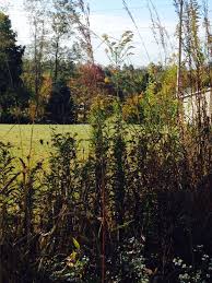 Harter Hill Wv Outdoor Farmland West Virginia