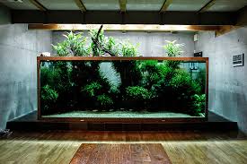 The entire staff at reef to rainforest media wish to express our condolences to amano's family and friends, his colleagues, and the staff. Iguwami Aquarium The Simple Aquascape Aquariuminfo Org