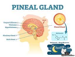 Will 10mg of melatonin hurt my 3 year old? Can You Overdose On Melatonin Answers Tips To Avoid It