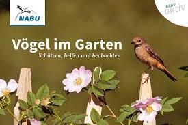 Unsere 40 Haufigsten Gartenvogel Kurz Vorgestellt Nabu Vogel Im Garten Garten Naturgarten