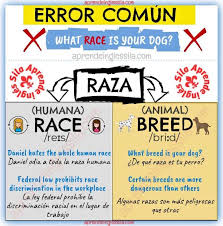 Diferencia Entre Race Y Breed Frases Basicas En Ingles Como Aprender Ingles Rapido Aprender Ingles En Casa