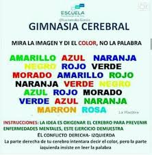 Resultado de imagen para GIMNASIA CEREBRAL