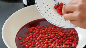 gesunde vogelbeerensosse fur deftige speisen rezepte einfache gerichte essen