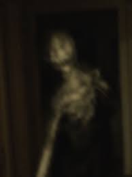 Check spelling or type a new query. Country Road Creature Countryroadcreature Perfil Pinterest