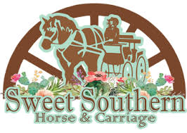 So, it appears that if you do not want the ¶ before the page break, you cannot use ctrl+enter and must do it via page layout>page setup. Carriages Sweet Southern Horse Carriage